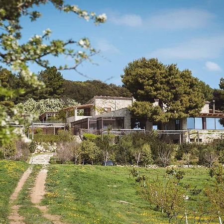 Masseria Agriturismo Torre Di Albidona Trebisacce Zewnętrze zdjęcie