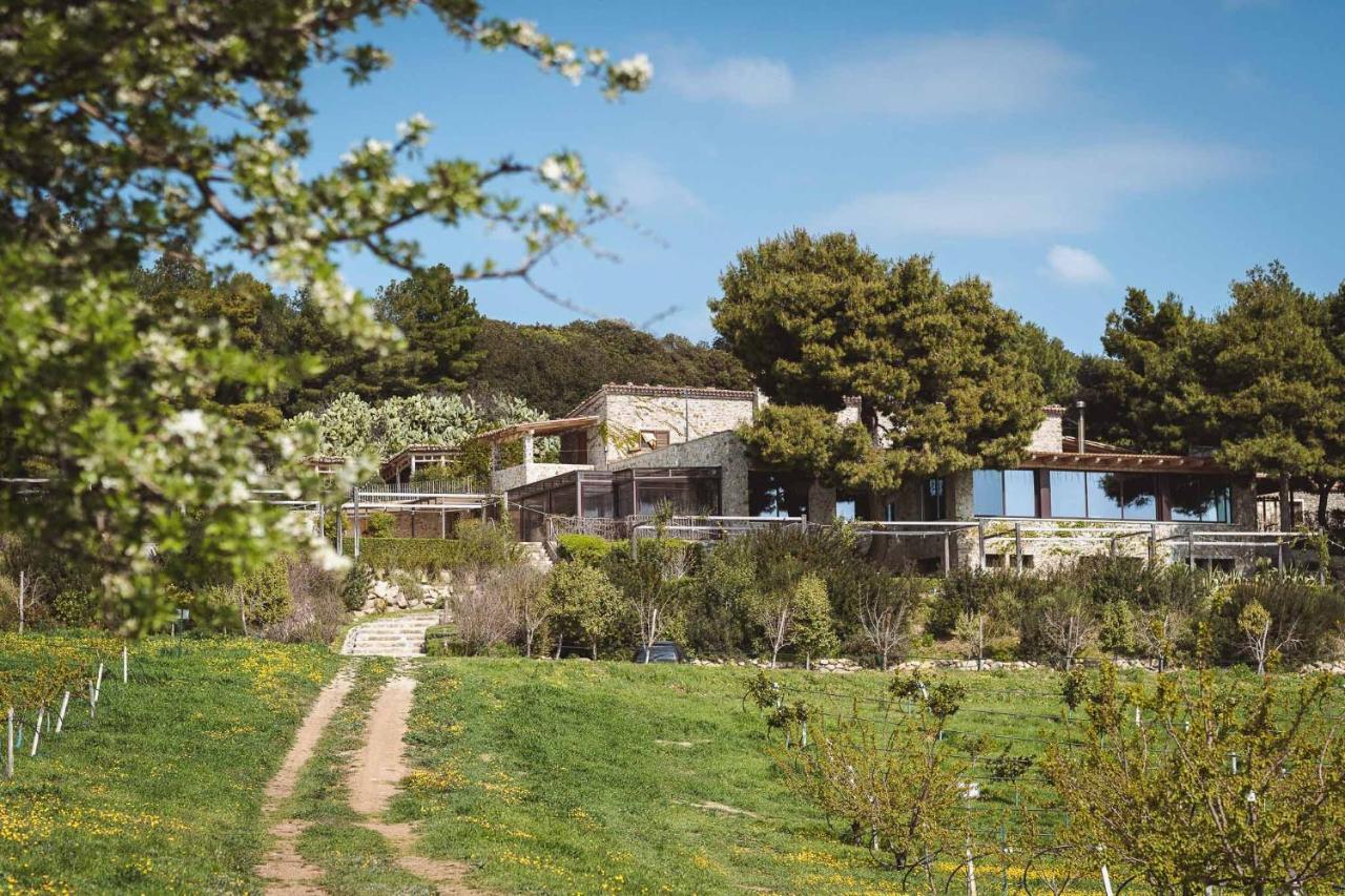 Masseria Agriturismo Torre Di Albidona Trebisacce Zewnętrze zdjęcie