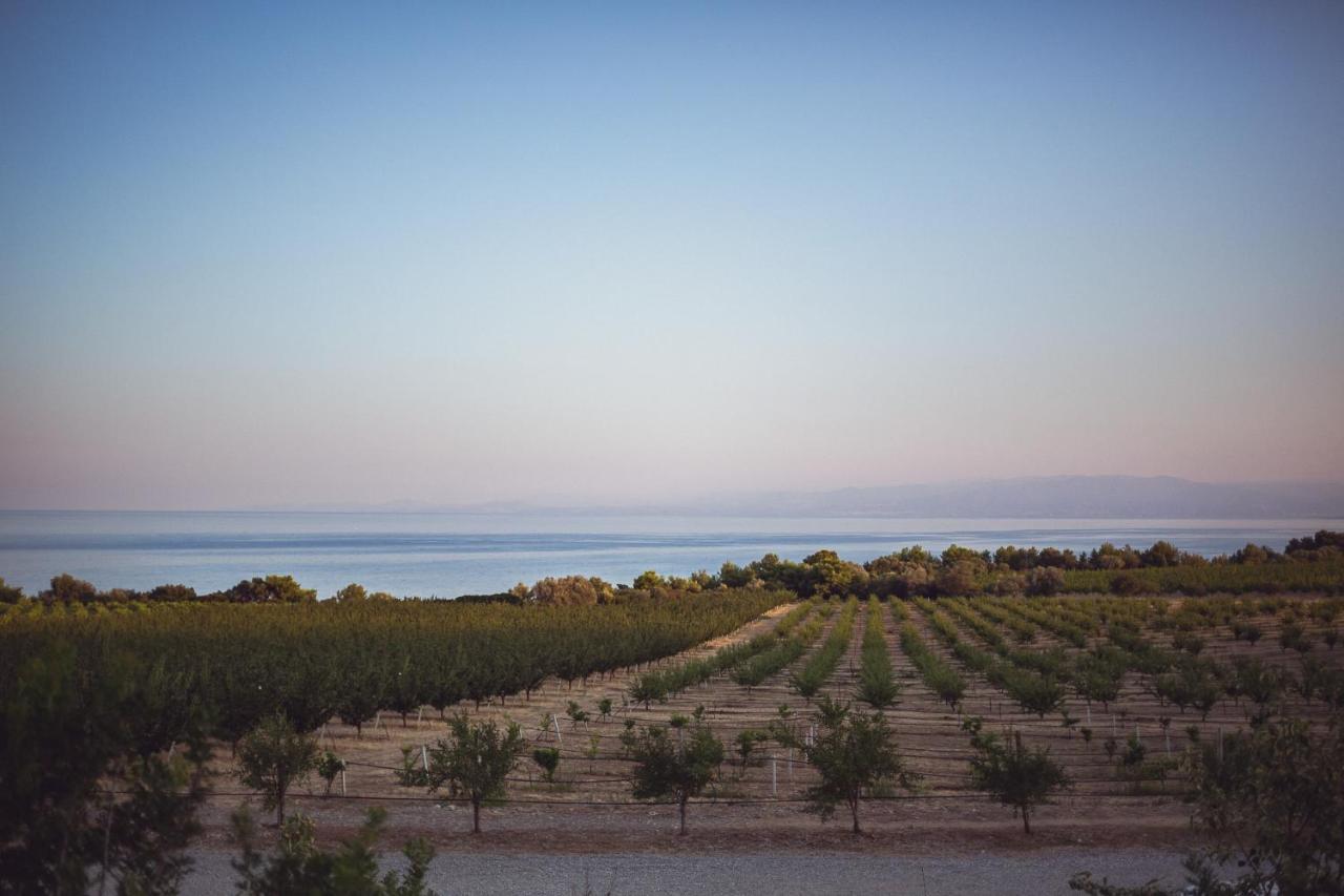 Masseria Agriturismo Torre Di Albidona Trebisacce Zewnętrze zdjęcie
