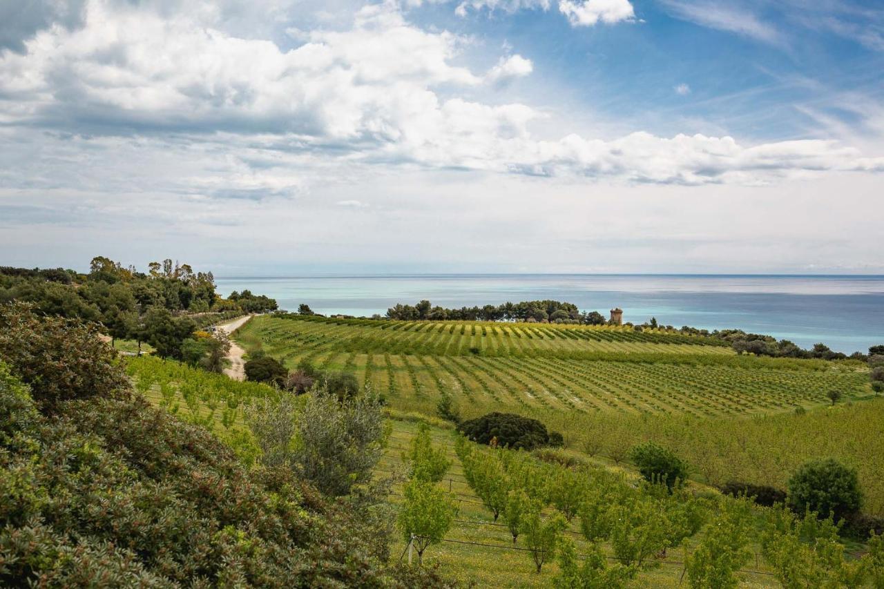 Masseria Agriturismo Torre Di Albidona Trebisacce Zewnętrze zdjęcie